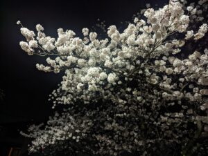 Tips to communicate and work effectively with Japanese