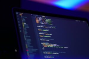 Most popular programming languages in 2024