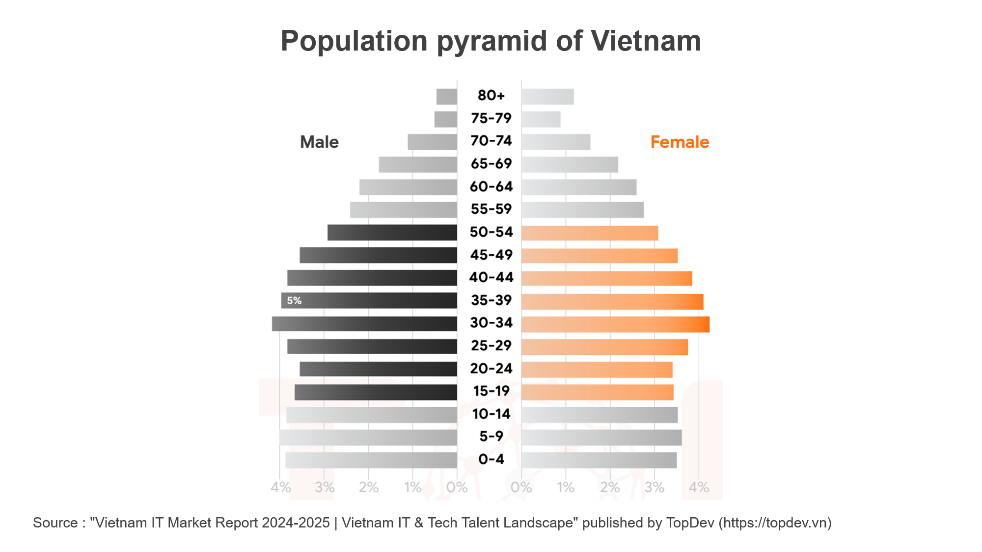 Population pyramid of Vietnam