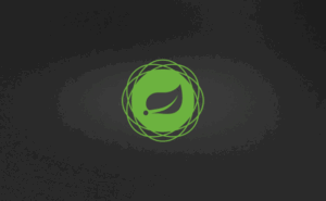SPRING BOOT SECURITY: SECURING WEB APPLICATIONS